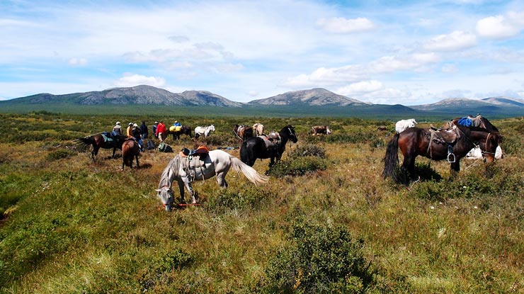 TSAATAN REINDEER HERDERS TOUR
